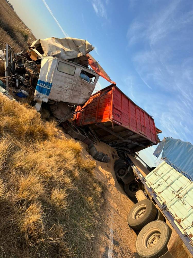 Una suarense murió en un choque entre dos camiones cerca de Bonifacio