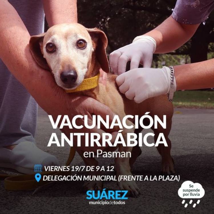 Campaña de vacunacion antirrabica en Pasman