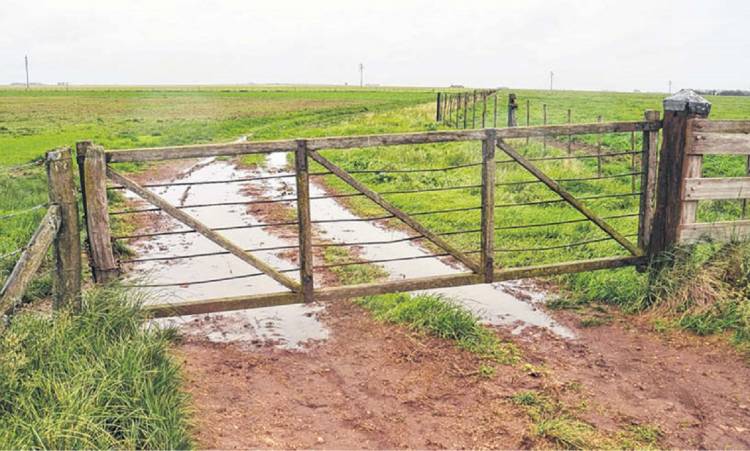 Murió un joven al accidentarse en un campo de Benito Juárez