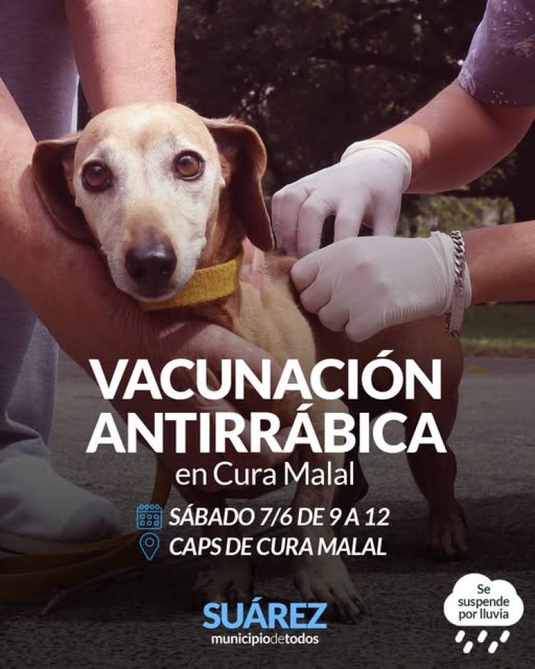 Campaña de Vacunación Antirrábica en Cura Malal
