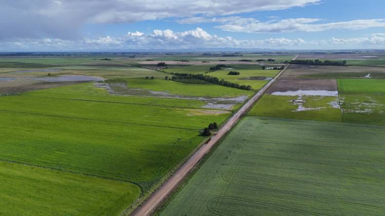 Crisis hidrica en Coronel Suarez