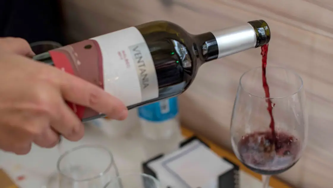 Vitivinicultura argentina: ¿por qué el sector atraviesa un momento desafiante?