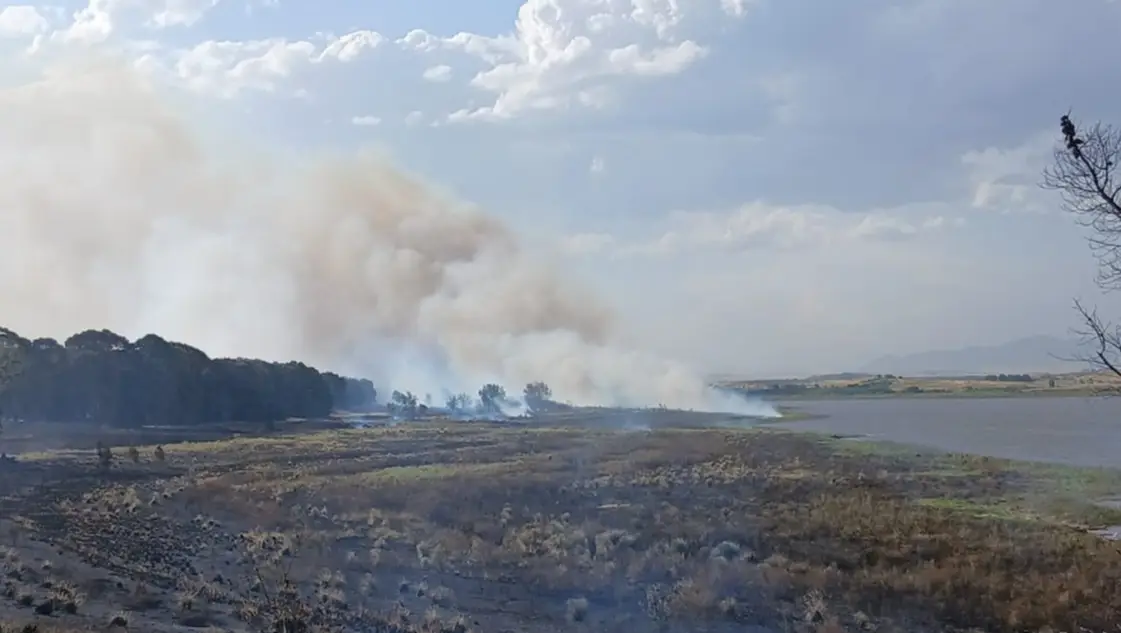 Controlaron un incendio forestal de gran magnitud en cercanías del dique Paso de las Piedras