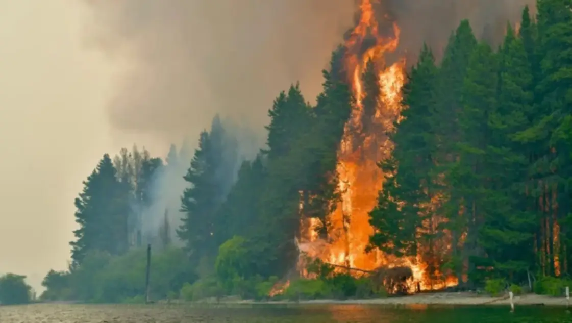 Declararon la emergencia ígnea en cuatro provincias por incendios en la Patagonia
