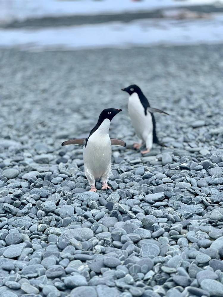 Rodrigo Lopez del SMN diálogo desde la Antártida con FM Suarense