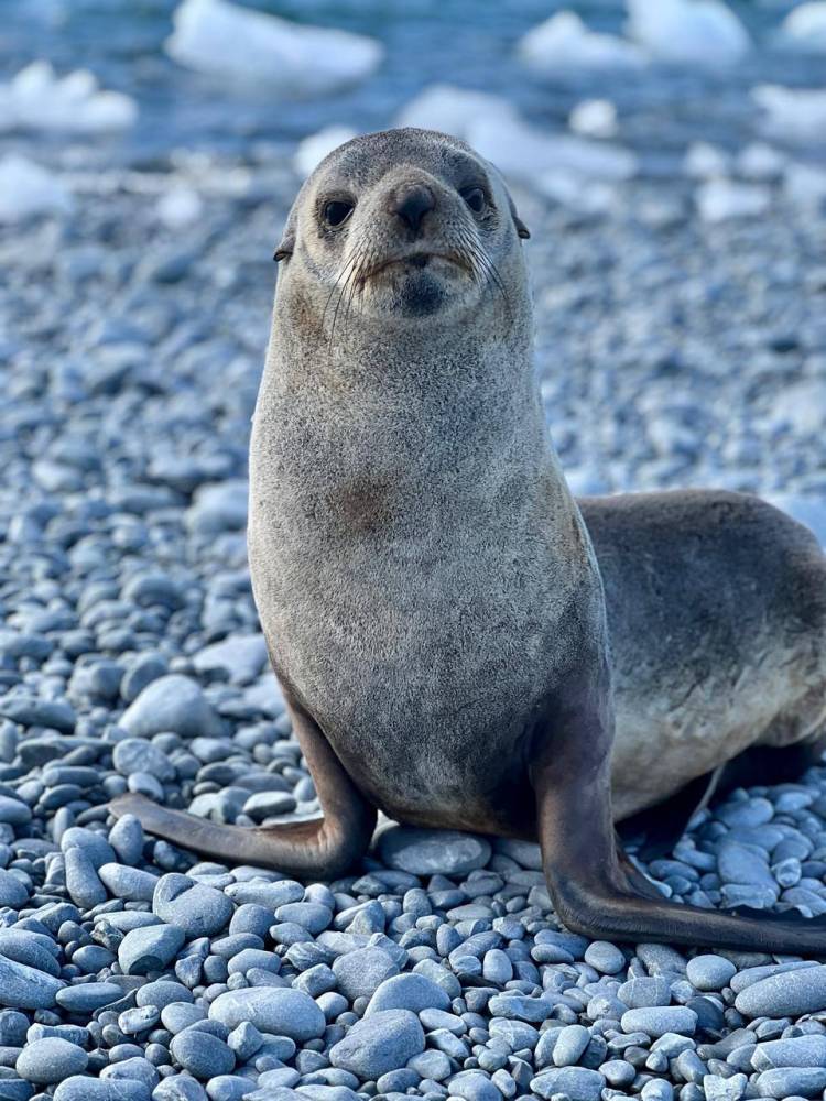 Rodrigo Lopez del SMN diálogo desde la Antártida con FM Suarense