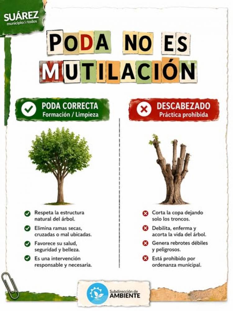 ¡ATENCIÓN VECINOS! INICIÓ LA TEMPORADA DE PODA