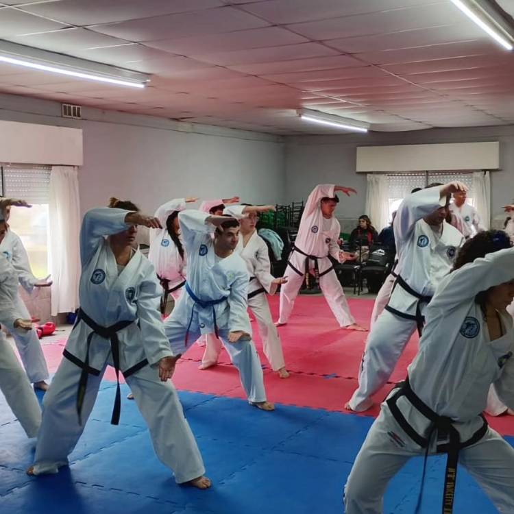 Escuela de Taekwon-do "cinturon blanco"