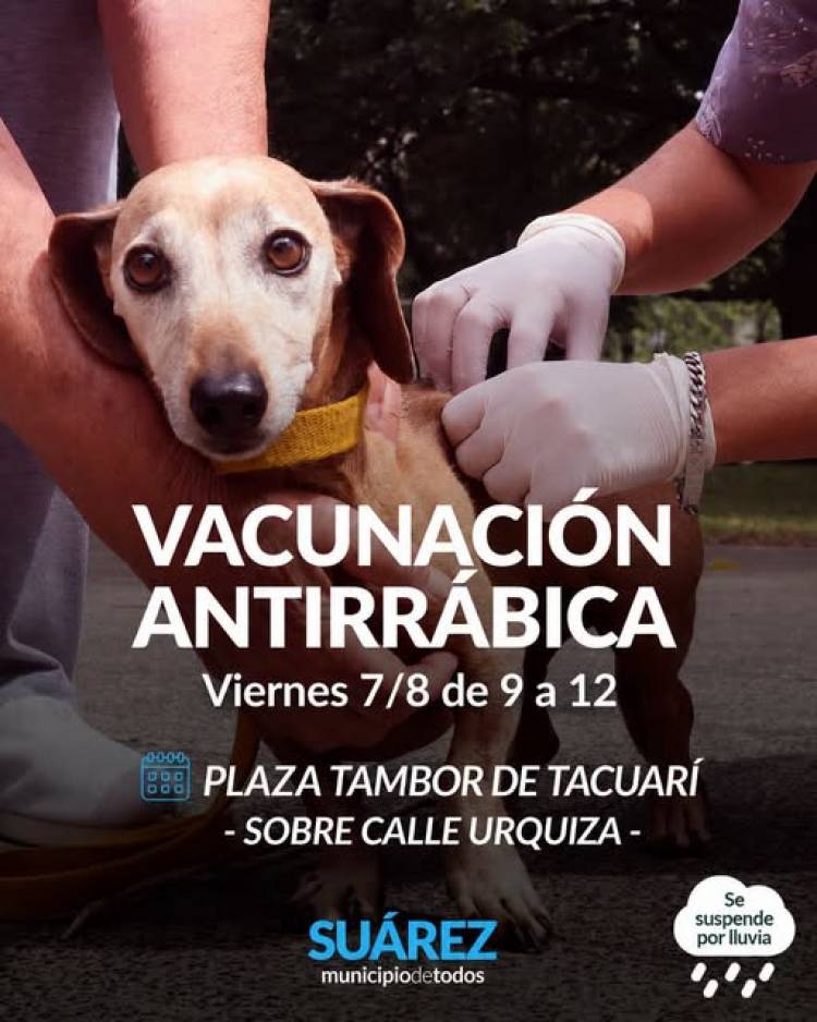 Campaña de Vacunación Antirrábica en la Plaza Tambor de Tacuarí