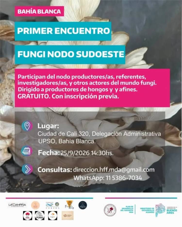 PRIMER ENCUENTRO FUNGI NODO SUDOESTE