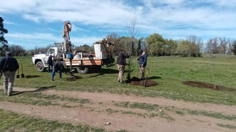 Jornada de Forestación en el Centro Recreativo "Domingo Moccero"