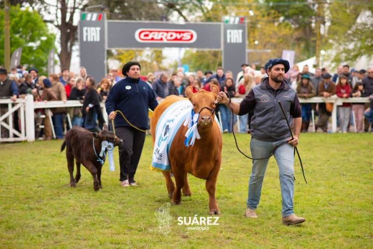 Moccero reclamó que vuelva al distrito lo que Coronel Suárez aporta