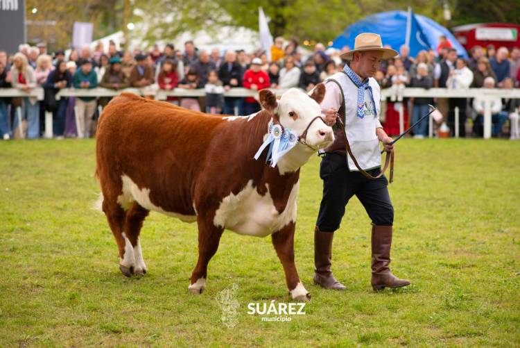 Moccero reclamó que vuelva al distrito lo que Coronel Suárez aporta