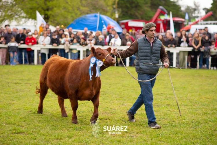 Moccero reclamó que vuelva al distrito lo que Coronel Suárez aporta